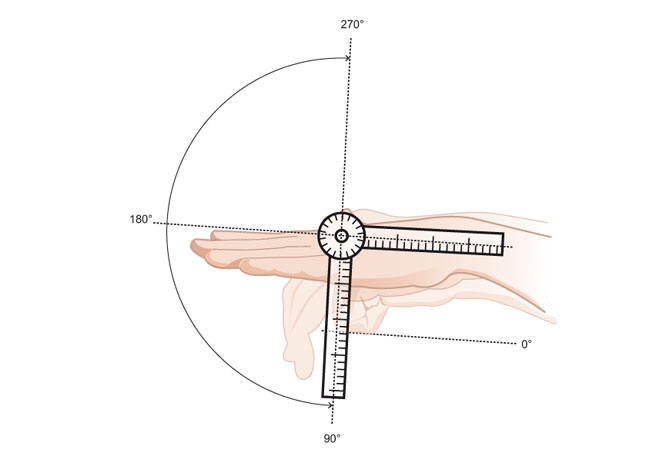 Illustrations médicales