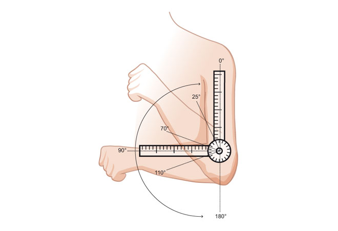 Illustrations médicales